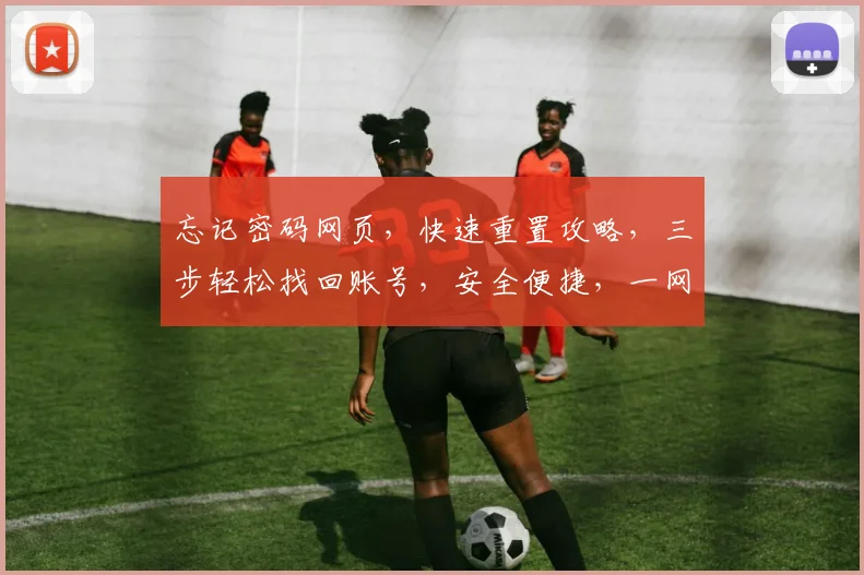 忘记密码网页，快速重置攻略，三步轻松找回账号，安全便捷，一网打尽